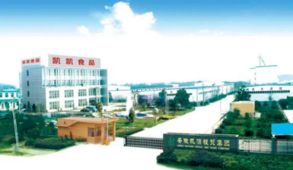 安徽省凯凯食品有限公司